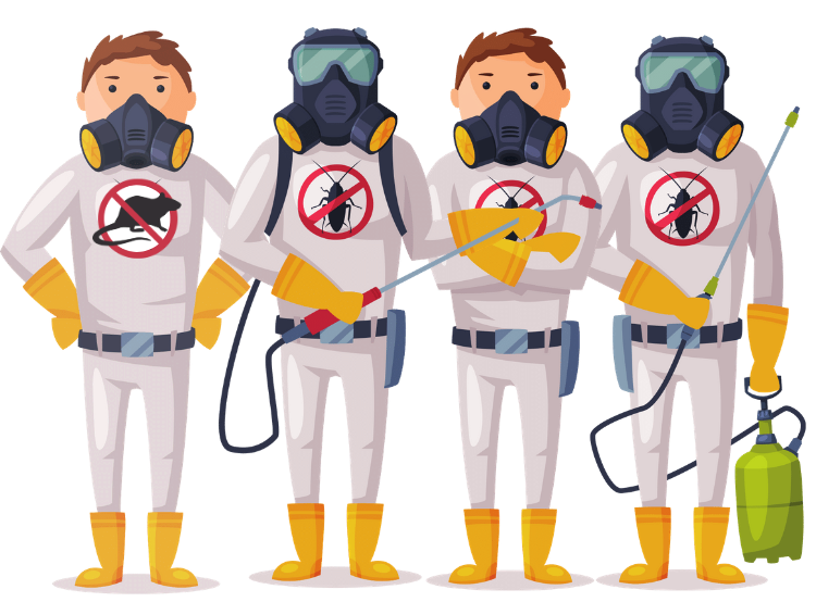 Nuisibles Service IDF Nuisibles Service IDF