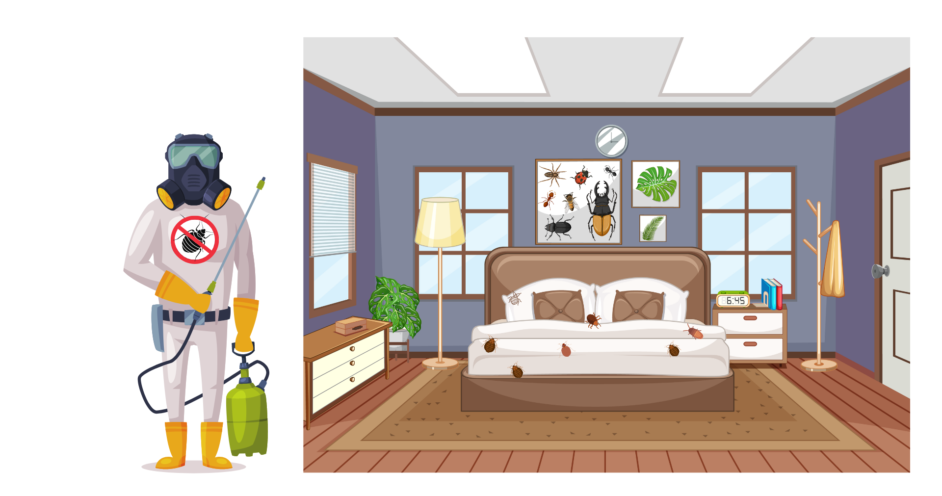 Punaises de lit Punaises de lit