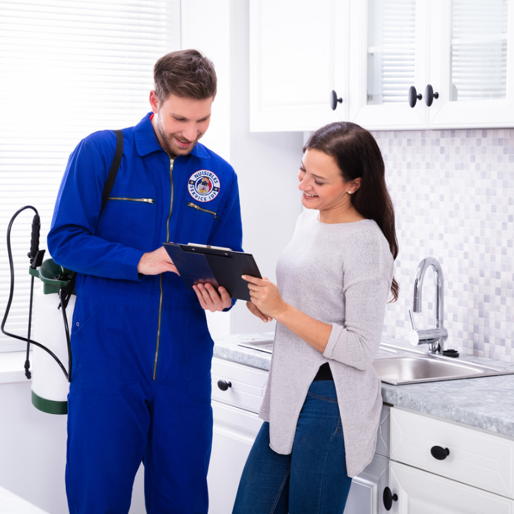 Intervention Nuisibles Service IDF Intervention Nuisibles Service IDF